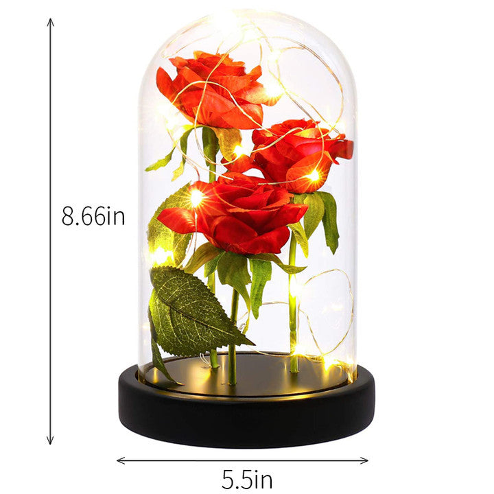 LED Night Light Immortal Flower Rose Decoration