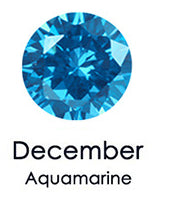 December Birthstone Plain Circle Ring December